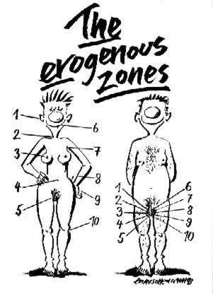 Copy of erogenous_zones.jpg (31130 bytes)